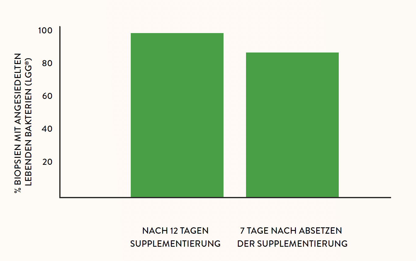 Bestimmungsort Bakterien Bestimmungsort Bakterien