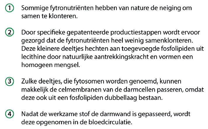 Abbildung 1