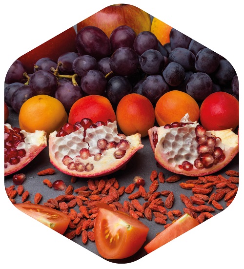 resveratrol resveratrol