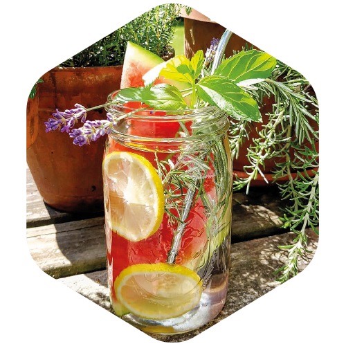 romy's rezepte